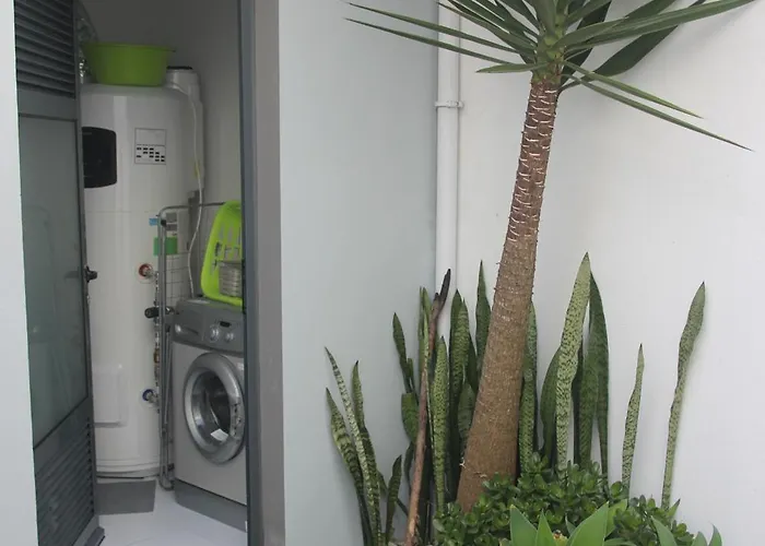 Casa D'alegria Ponta Delgada (Sao Miguel)